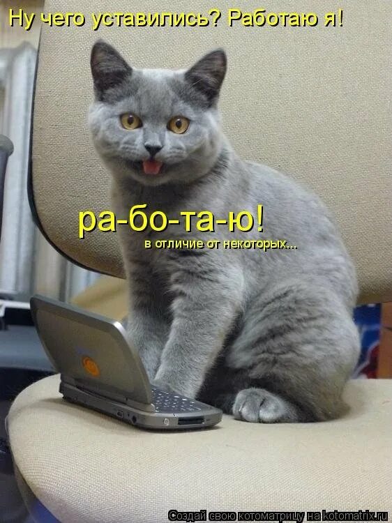 Не хочу дальше работать