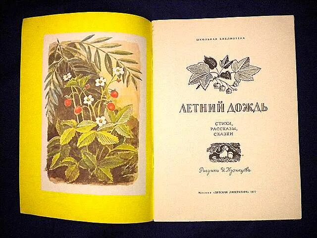 Стихи рассказы сказки 1981. Стихи рассказы сказки. Стихи рассказы сказки. Стихотворение б заходера в лесочке над речкой. Сказки кокышева.