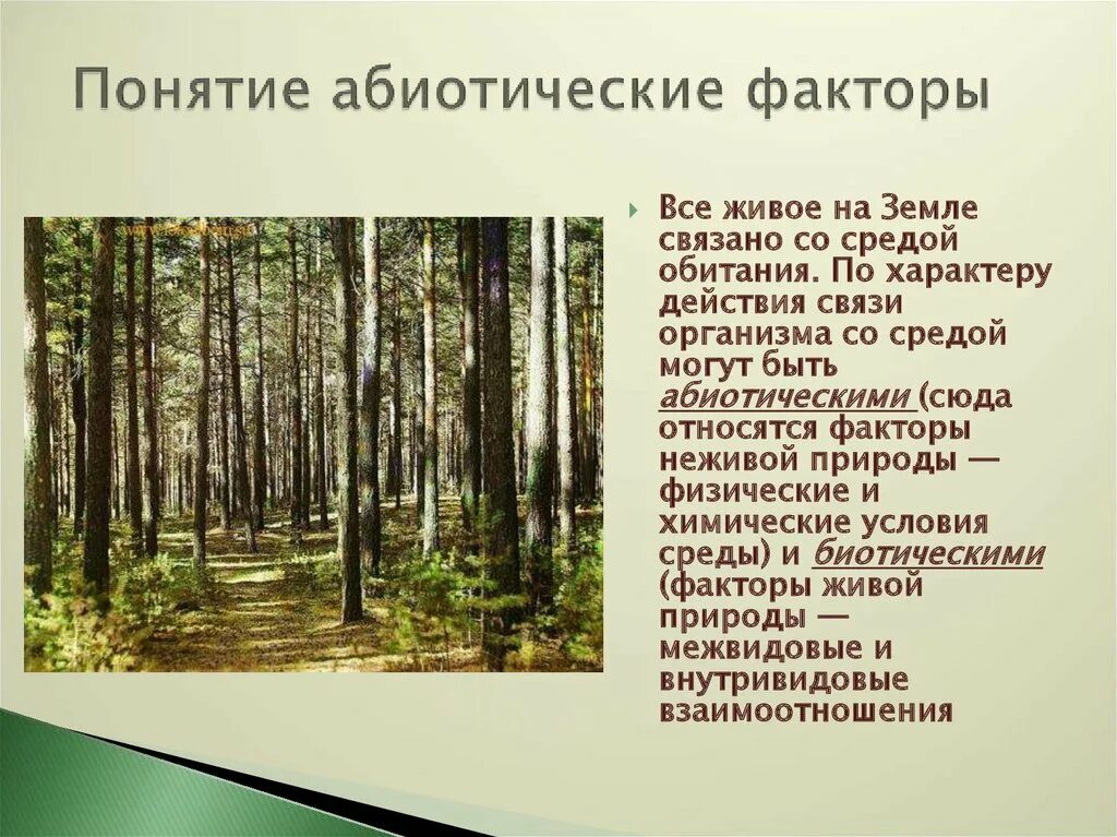 Абиотические факторы биология 9. Абиотические условия. Понятие Лесная среда. Сосняк беломошник абиотические факторы. Абиотические факторы среды.