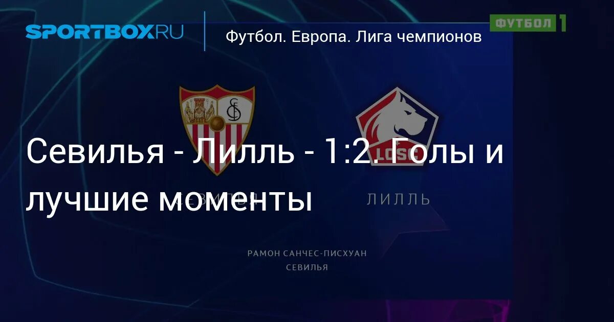 Лига европы лилль. Лилль вид сверху. Лига европы лилль. Фк лилль доги фото. Шахтер лилль.