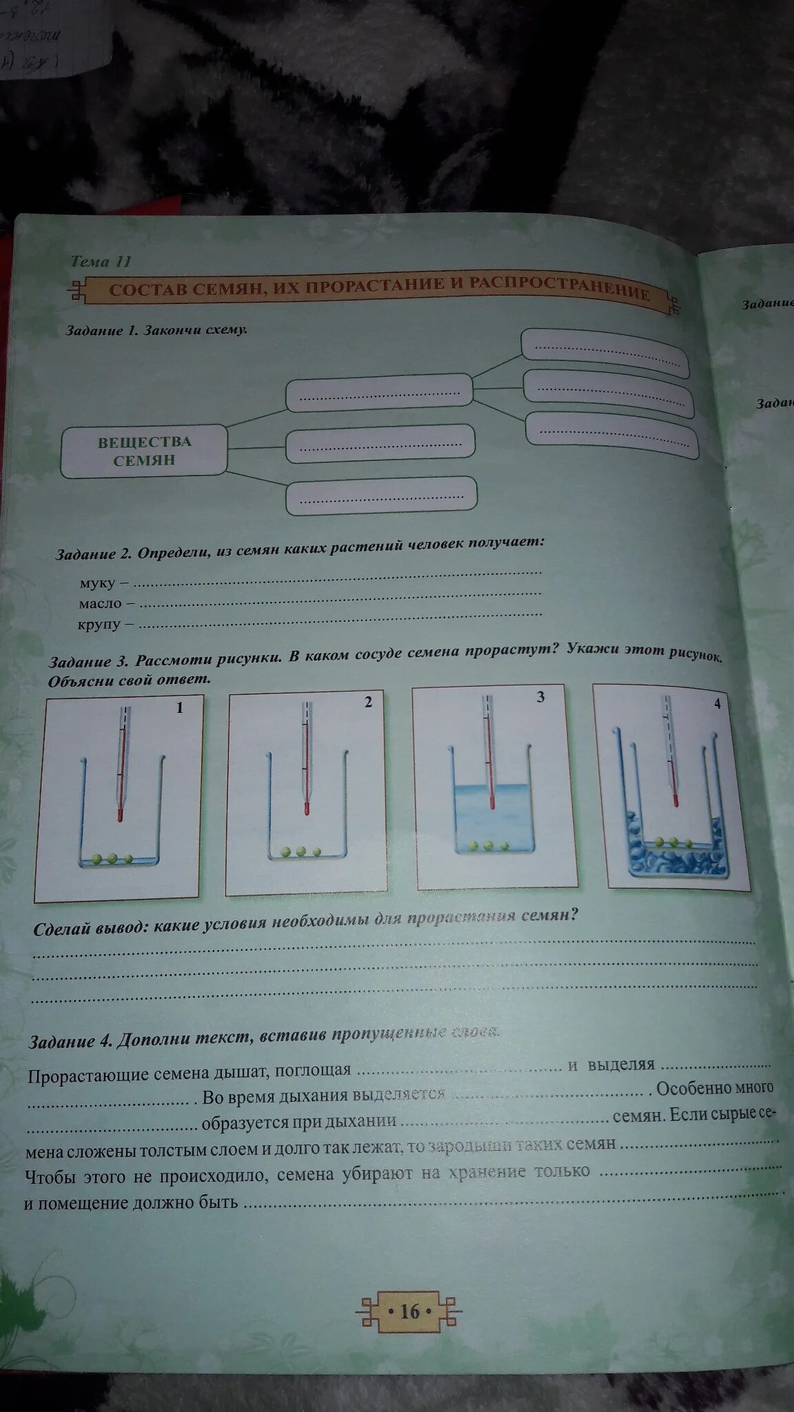 Рассмотрите рисунок в каком сосуде семена. Рассмотрите рисунок в каком сосуде семена прорастут объясните. Рассмотри рисунок в каком сосуде семена прорастут объясни свой ответ. Поясните свой ответ рисунок в каком сосуде семена прорастут. В каком сосуде семена прорастут объясните свой ответ.