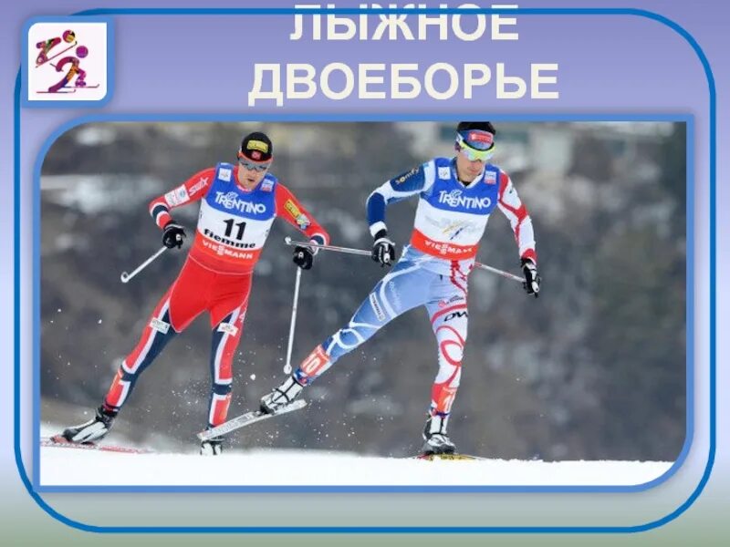 Лыжное двоеборье виды. Лыжное двоеборье (Северная комбинация). Виды лыжного спорта. Лыжный спорт лыжное двоеборье. Северные виды лыжного спорта.