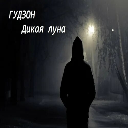 Дикая луна. Дикая луна. Габриэль коррадо дикая луна. Гудзон нас укутала ночь. Сериал дикая луна аргентина.