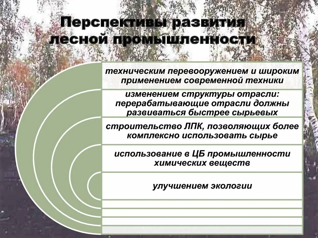 Перспективы развития лесного комплекса РФ. Перспективы развития Лесной промышленности. Перспективы развития Лесной отрасли. Перспективы развития Лесной промышленности в России. Каковы главные тенденции в изменении размещения