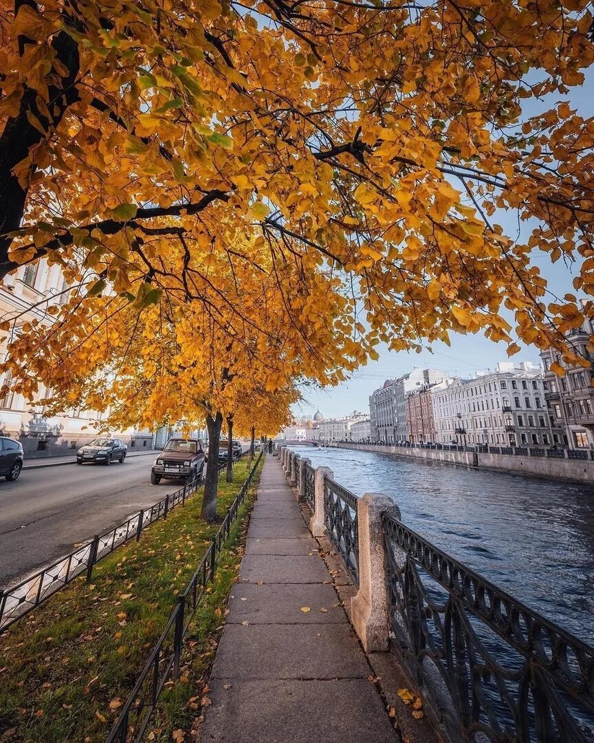 Сайт лист спб. Набережная Невы в Санкт-Петербурге осень. Троицкий мост в Санкт-Петербурге осень. Набережная осенью.