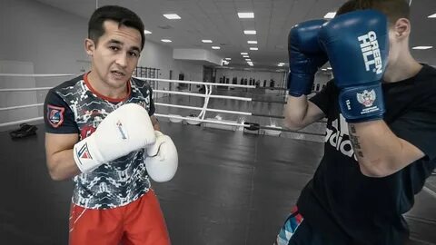 Сколько зарабатывает тренер по боксу