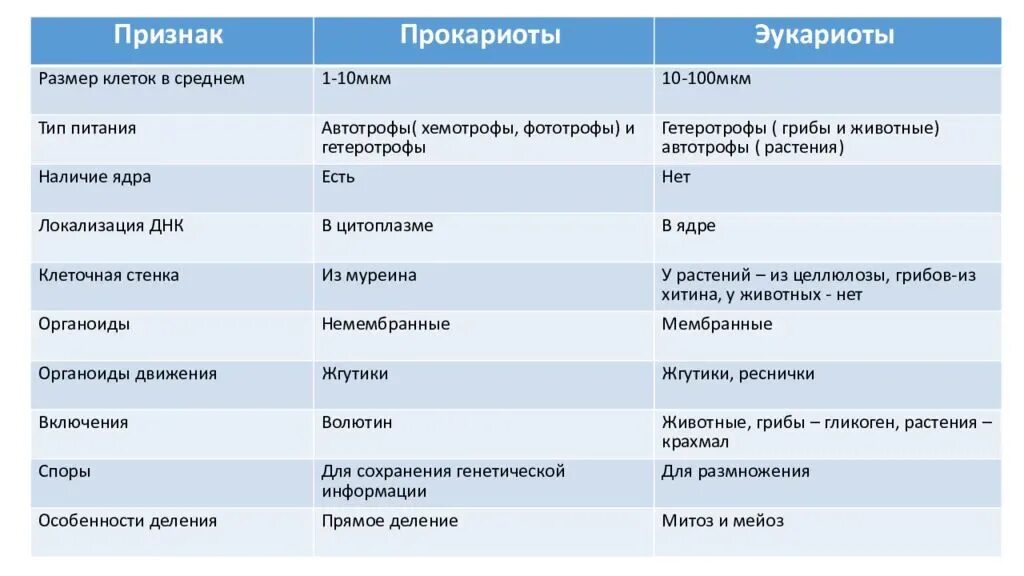 Эукариоты отличия. Сравнительная характеристика прокариот и эукариот 5 класс. Сравнительная характеристика прокариот и эукариот кратко. Сравнение строения клеток эукариот и прокариот. Клеточная стенка прокариот и эукариот таблица сравнение.