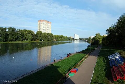 Пушкино серебрянка