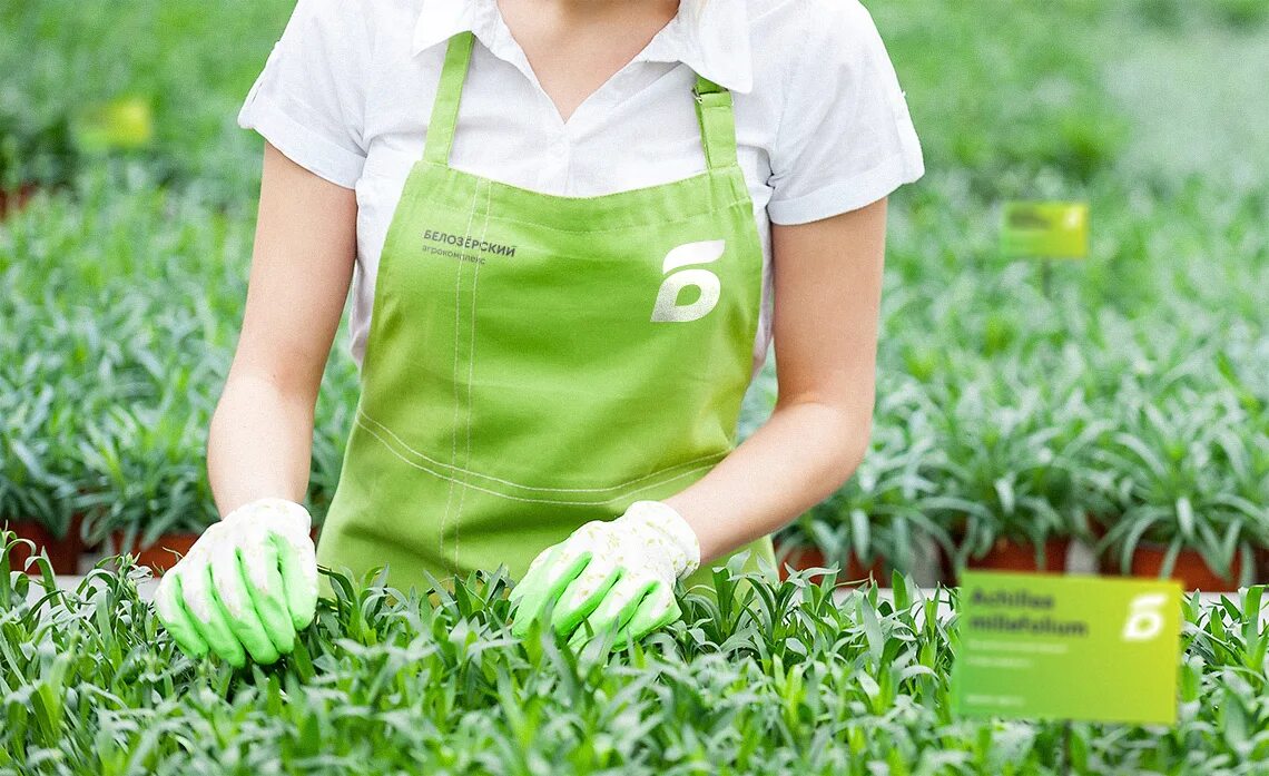 Зао агрокомплекс маяк казанский район тюменская область. Работник теплицы. Забастовка на предприятии. Зеленая продукция. И ткачева.