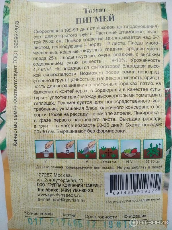 Хранение семян томатов. Семена помидор срок хранения. Срок хранения семян томатов. Семена томатов срок хранения. Семена томатов срок годности.