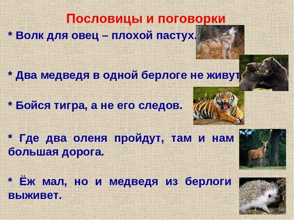 Пословицы о животных. Поговорки о животных. пословицы про зверей. поговорки на тему животные.