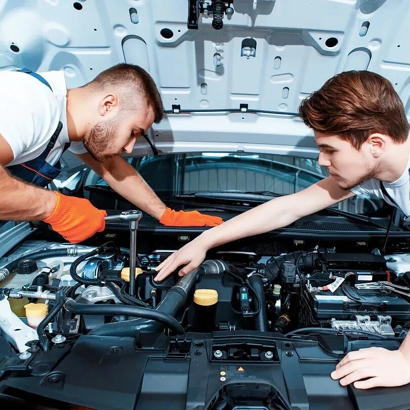 Автореаниматор. Автореаниматор