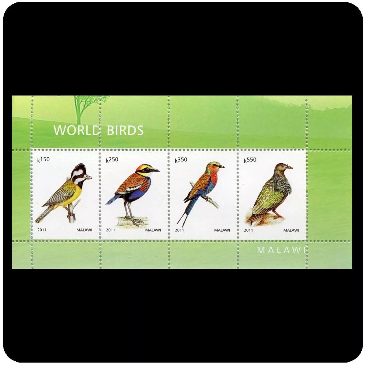 Bird коды. Птицы зарубежных стран. Малави птицы марки. Марка 2011 год. Птице код.