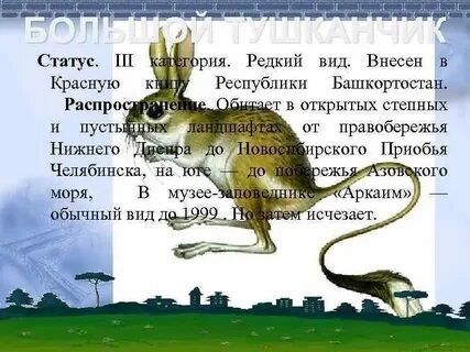 Красная книга башкортостана животные