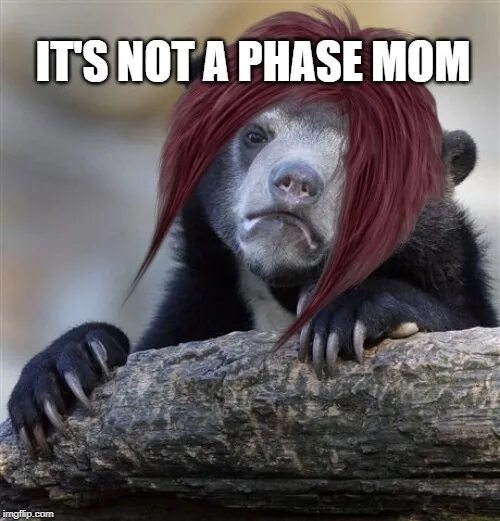 This is real this is me. Mom its not a phase. Альпаки с челкой. Noot noot мем. Not a phase.