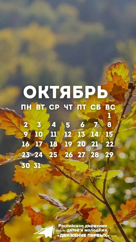 Красивая осень. Разноцветная осень. Грустная осень. Октябрь картинки. Октябрь удивительный месяц.