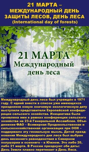Международный день лесов сообщение 4 класс кратко. Международный день леса. экологический календарь международный день лесов.