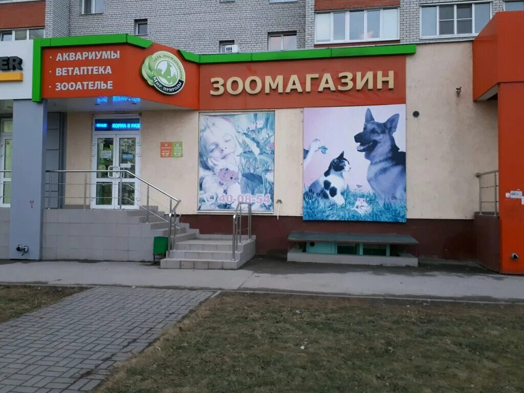 зоомагазин мир природы. улица большая 100 рязань. пункт пвз вайлдберриз. улица большая 100 рязань. улица большая 94 рязань.