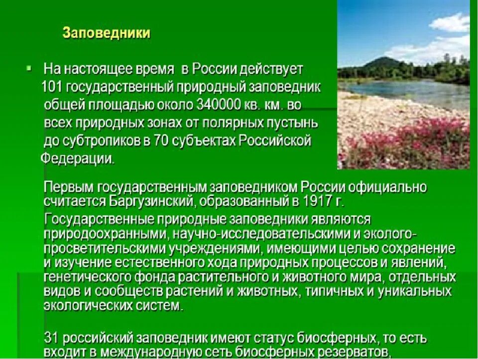 Охраняемые заповедники россии сообщение. Доклад о заповеднике России 5 класс. Доклад о заповеднике. Сообщение j заповедниках. Доклад на тему заповедники.