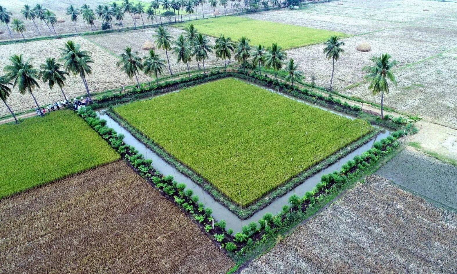 Natural farming. Zero's Farm. Farming for nature.