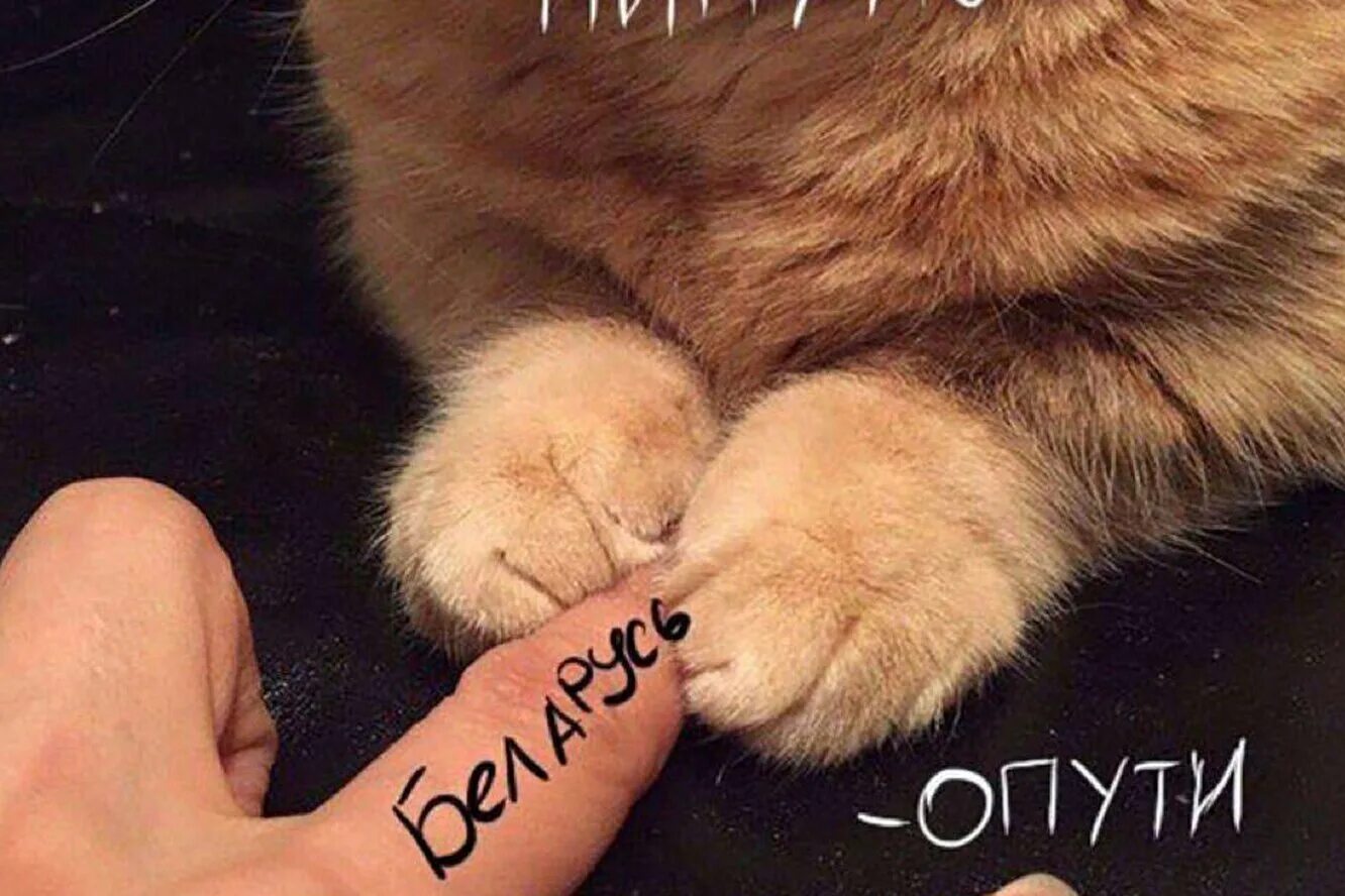 Непутю мем. Опути непутю. Непутю. Опути непутю мем. Непутю картинка.