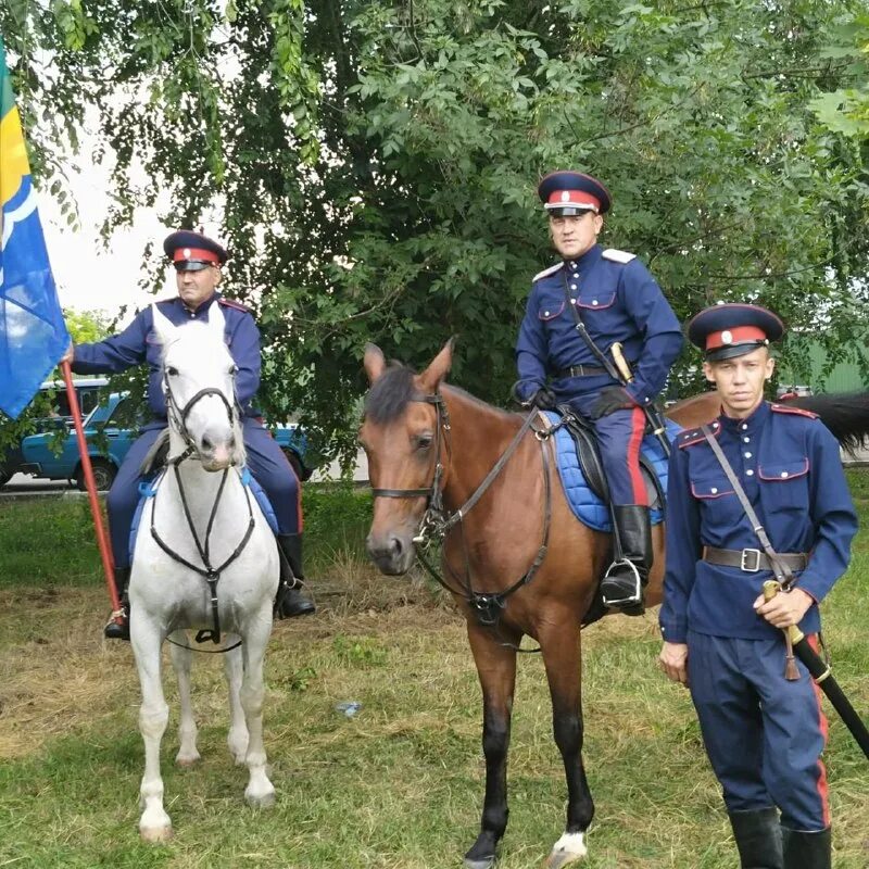 конный казачий. казак спортсмен. конная полиция курск. конный взвод. казачий стан конюшня.