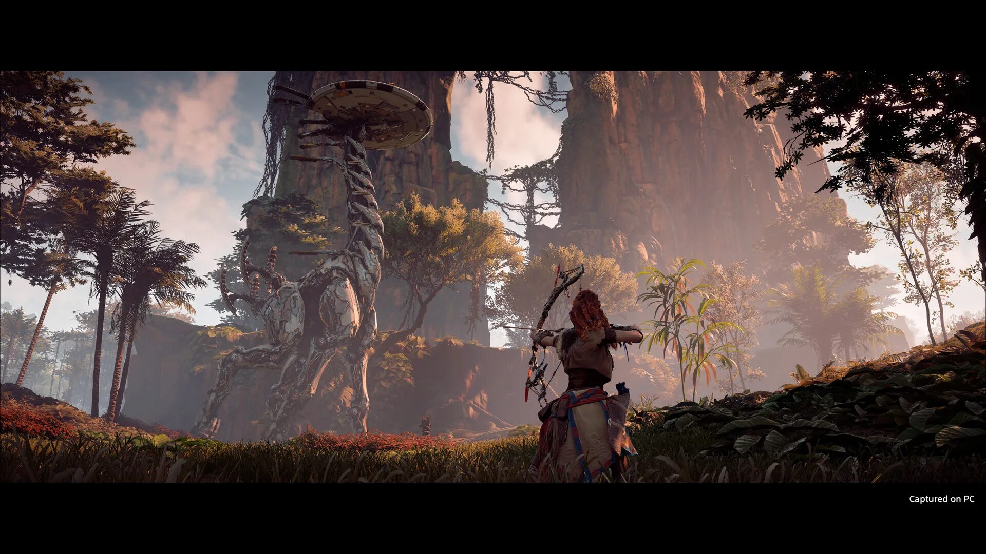 Хоризон 2. Элой Horizon. Horizon Zero Dawn Edition. Horizon zero pc