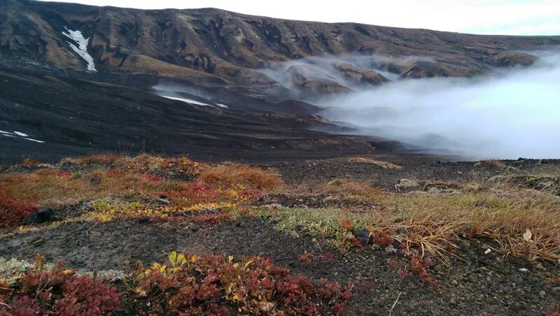 Вулканические почвы на камчатке. Южная африка огненная земля. Камчатка почва. Камчатка почва. Дальний восток горная тундра.