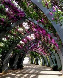 Queensland, Australia 