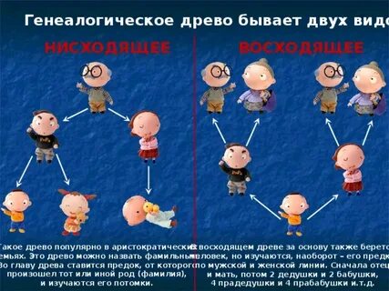 Виды семейного дерева