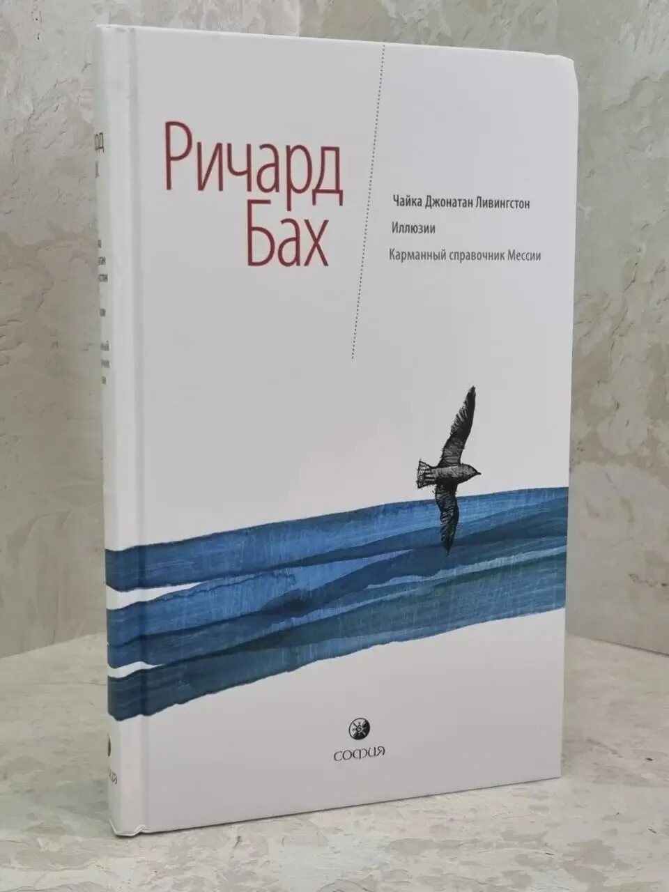 Книги ричарда баха отзывы. Чайка Джонатан Ливингстон читать.