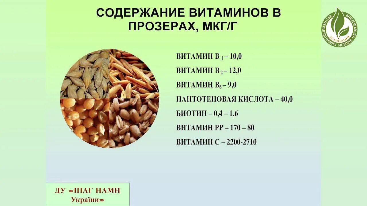 Пророщенная пшеница витамины. Витамины в зерне. Витамины в зерне пшеницы. Витамины в пророщенной пшенице.