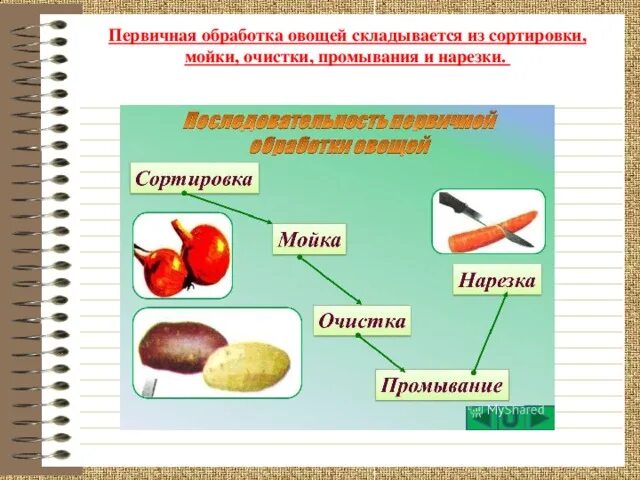 Этапы обработки овощей. Схема механической кулинарной обработки зелени. Последовательность этапов первичной обработки овощей. Технологический процесс обработки и нарезки овощей и грибов. Механическая обработка овощей.