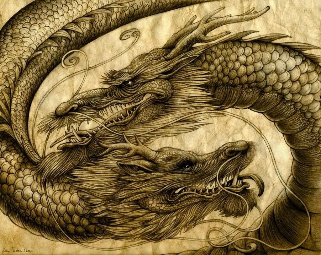 Изображение дракона. Дракон Восточный Земляной. Японский дракон. Мудрый дракон. Китайский дракон арт.