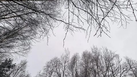 Погода на декабрь 2023 архангельск