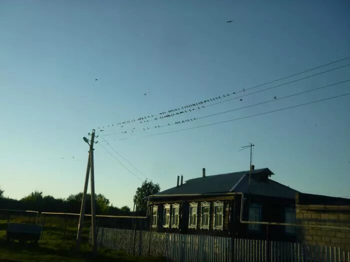 Сеченовская церковь нижегородская область. Погода ратово нижегородская область на неделю. Погода ратово нижегородская область на неделю. Погода ратово нижегородская область на неделю. Вознесенская церковь константиновское.