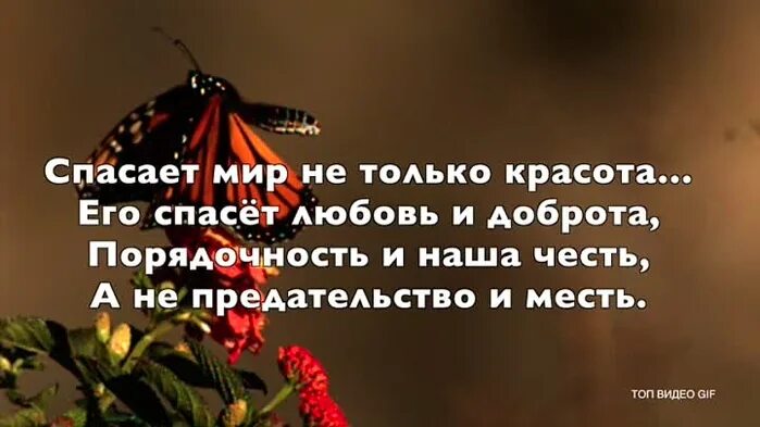Любовь спасет мир. Любовь спасет мир стихи. Любовь спасёт мир цитаты. Любовь спасает цитаты. Любовь спасёт мир цитаты.