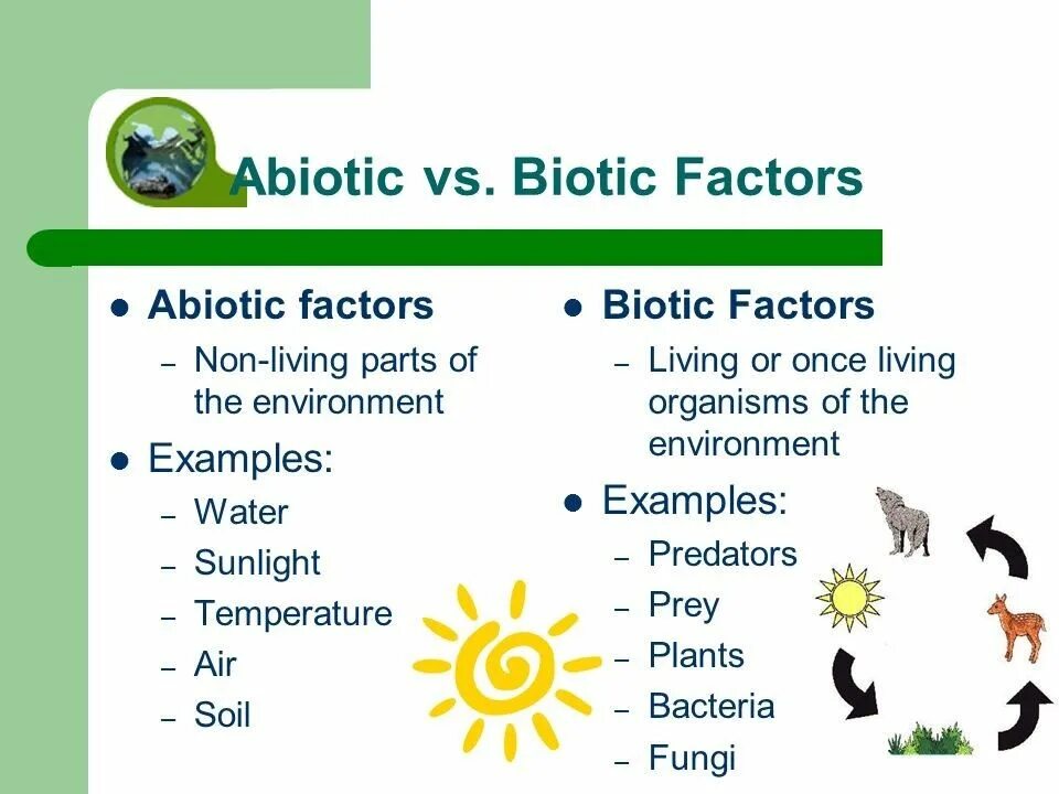 Abiotic factor читы. Biotic abiotic. abiotic factor. abiotic factor игра. abiotic factor растенья.