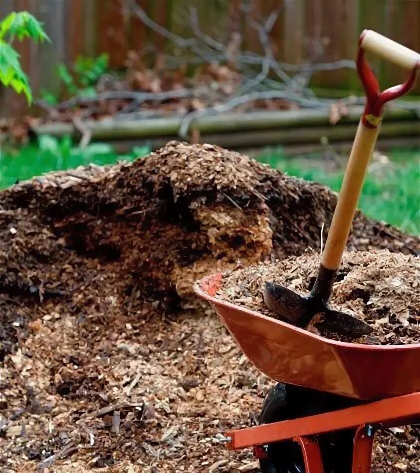 9 Open House Hacks That'll Sell Your Home Before Buyers Even Knock Gartenerde, K