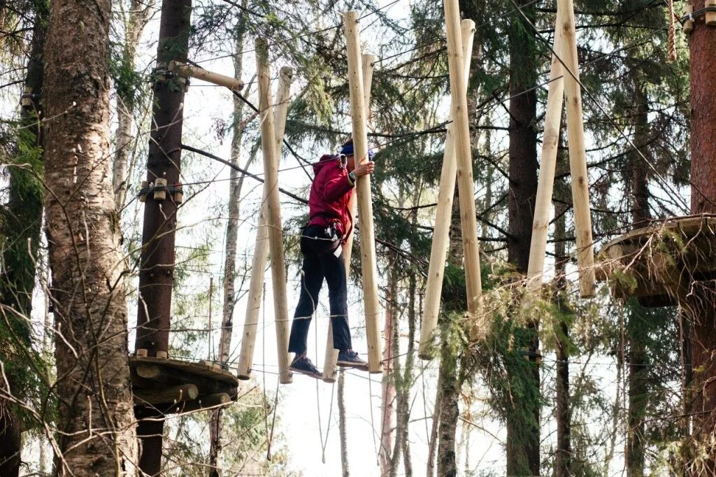 Веревочный парк Koshkino Park. Парк Кошкино Ленинградская область. Морозовка веревочный парк Кошкин. Кошкино парк веревочный парк. Веревочные парки спб и ленинградской