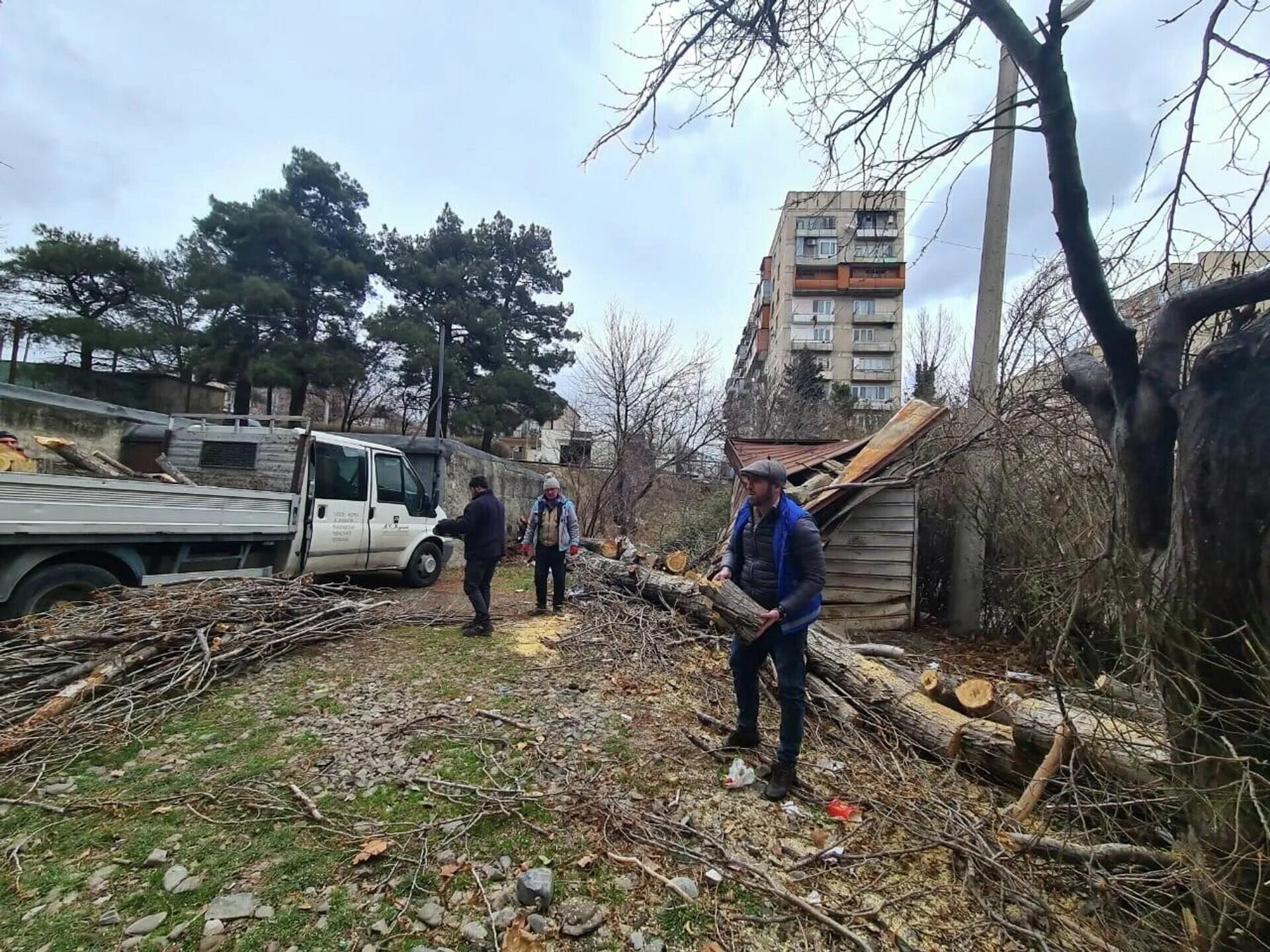 Ситуация в тбилиси сегодня. Сабуртало район Тбилиси. Деревья Тбилиси. Муниципалитеты Грузии. Сильный ветер.
