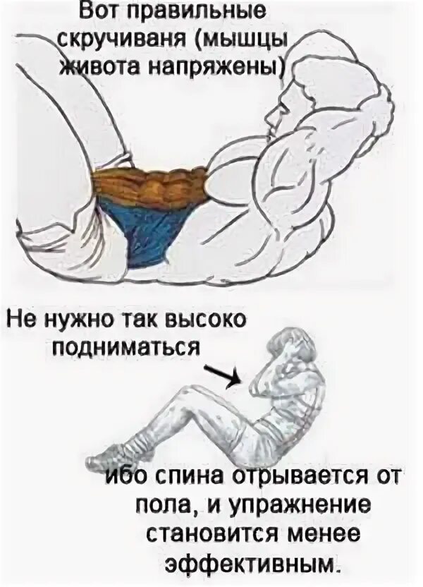 Помогает ли пресс убрать живот и бока. Как накачать пресс. как качать пресс. прокачать пресс.