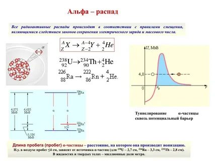 Сколько α частиц возникнет в реакции