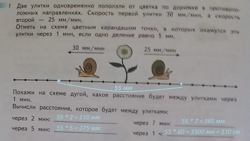 Скорость улитки в метрах. Две улитки одновременно. Две улитки одновременно поползли от цветка. Задача про улитку. Решение задачи с улиткой.