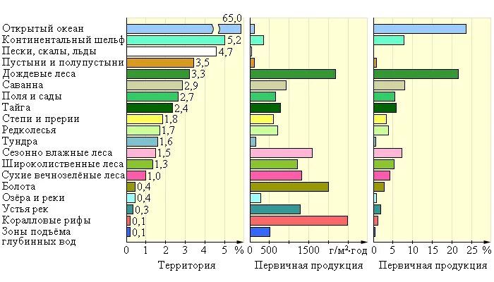 Биомасса первичной продукции. Первичная продукция в различных природных зонах земли. Биологическая продуктивность природных зон. Первичная продукция растений. Последовательность увеличения биологической продуктивности природных зон