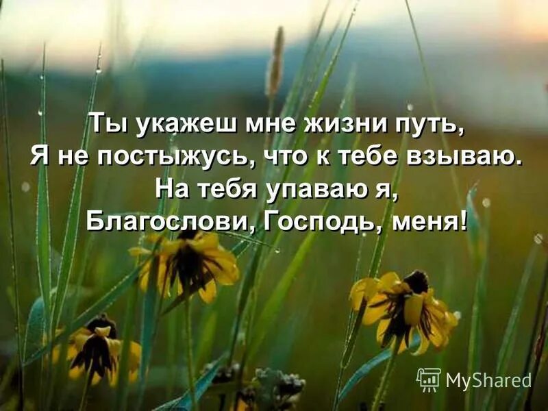благо есть славить господа и петь имени твоему. птицы славят господа. петь имени твоему. петь имени твоему. славьте господа.