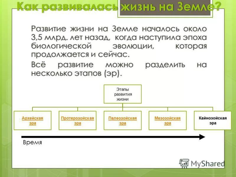 Как развивалась жизнь на земле. Развитие жизни на земле началось. Эпоха биологической эволюции на земле наступила около. Как развивалась жизнь на земле 5 класс. Заполните ленту времени развития жизни на земле