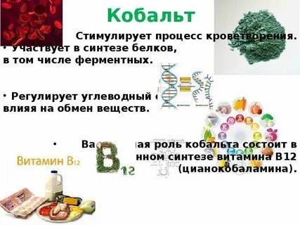 Роль кобальта в организме человека