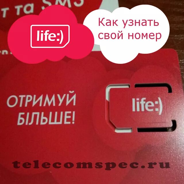 Как знать свой НТ. Как узнать номер. Лайф номер. Узнать свой номер телефона. Обещанный платеж лайф беларусь