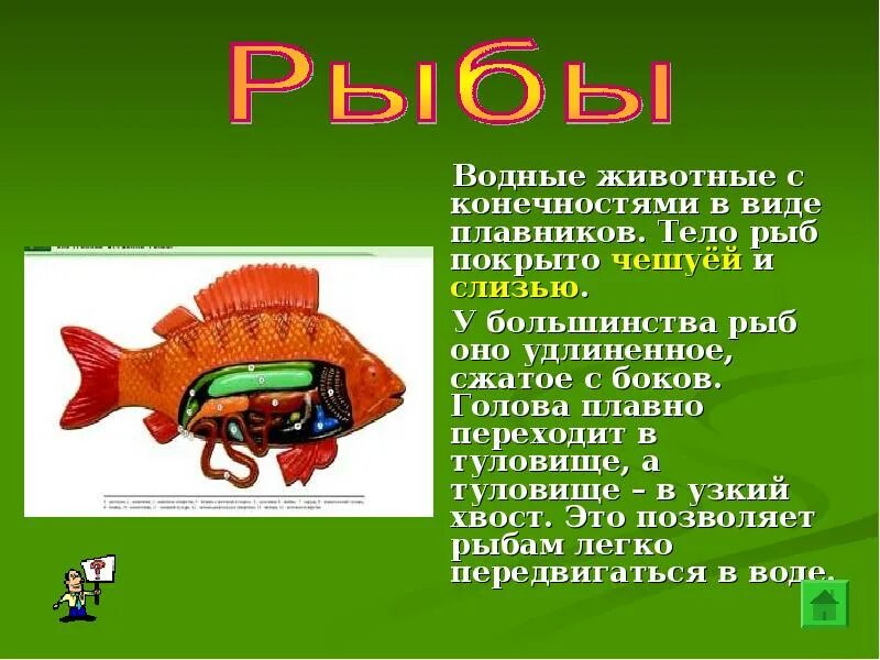 Тело рыб покрыто. Тело рыб покрыто чешуей. Водные животные тело покрыто чешуей. Тело покрыто чешуей и слизью. Слизь которой покрыта рыба выделяется